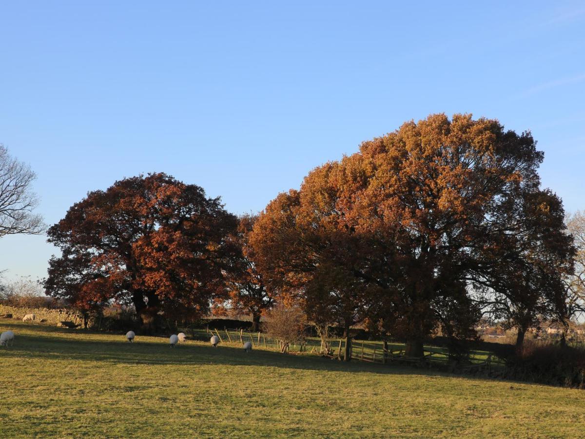 7 Scarah Bank Cottages Ripley  Buitenkant foto
